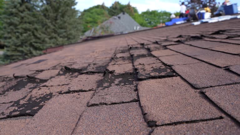 Fast & Reliable Emergency Roof Repairs in Luverne, MN